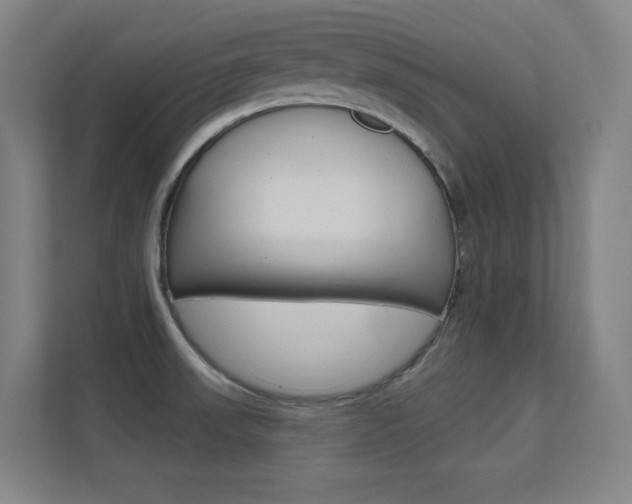 X0000112391523200908131333