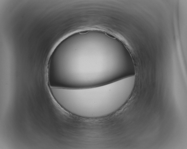 X0000112391524200908131333