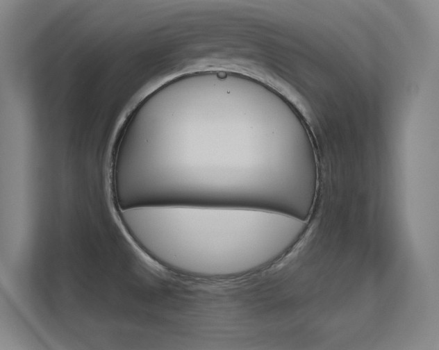 X0000112391525200908131333