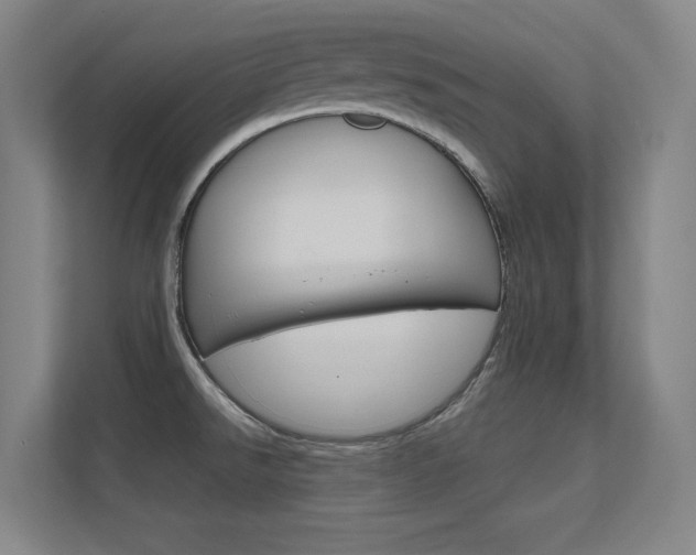 X0000112391526200908131333
