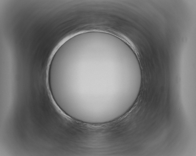 X0000112391528200908131333
