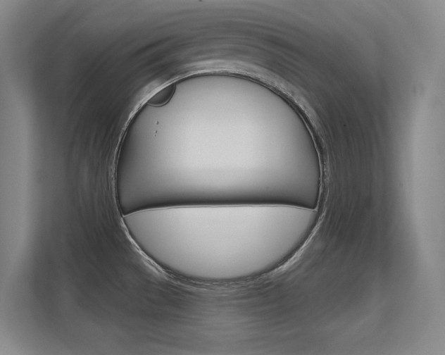 X0000112391529200908131333