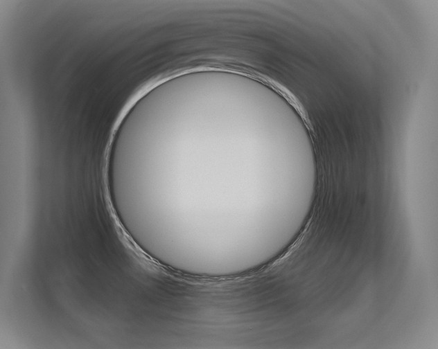 X0000112391530200908131333