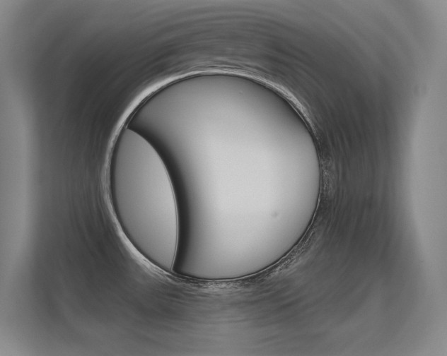 X0000112391531200908131334