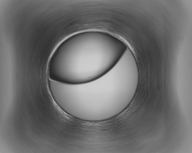 X0000112391532200908131334
