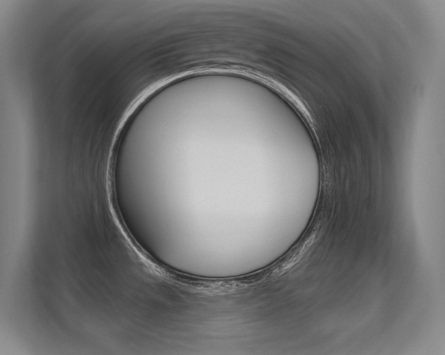X0000112391533200908131334