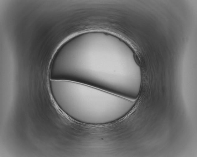 X0000112391534200908131334
