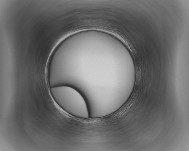 X0000112391535200908131334