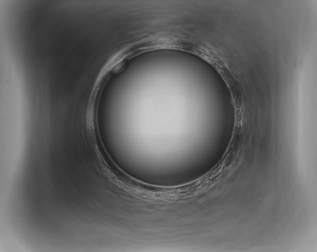 X0000112390004200908131558