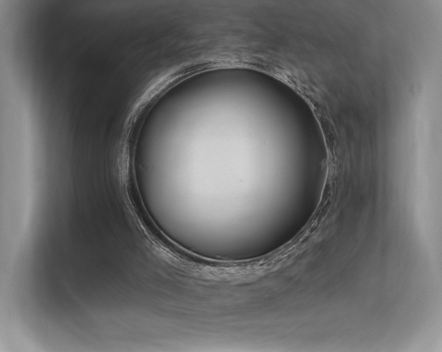 X0000112390005200908131558