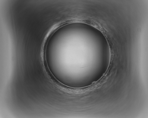 X0000112390006200908131558