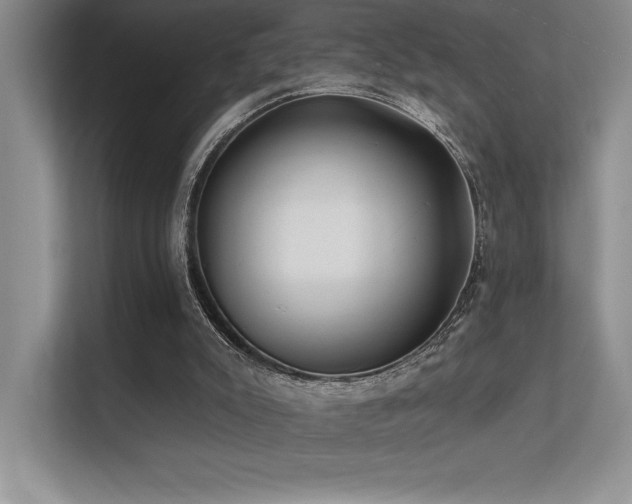 X0000112390007200908131558