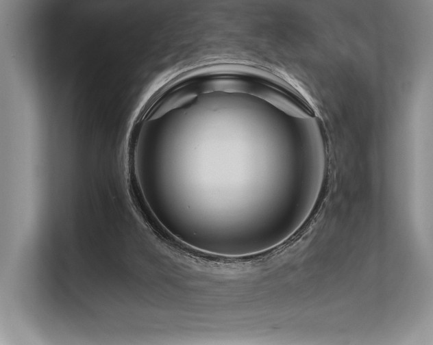 X0000112390008200908131558