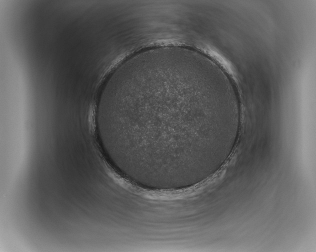 X0000112390009200908131558