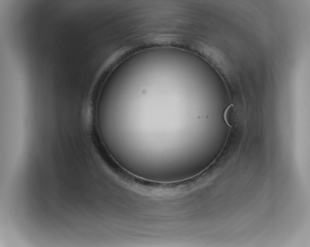 X0000112390016200908131558