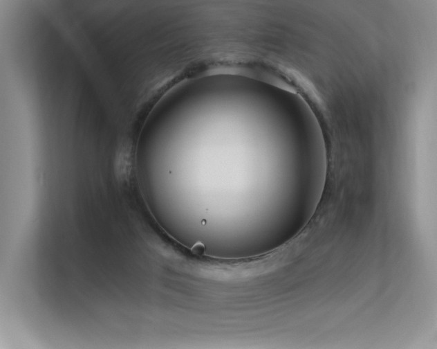 X0000112390017200908131558