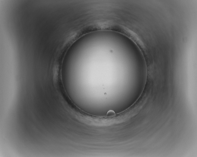 X0000112390018200908131558