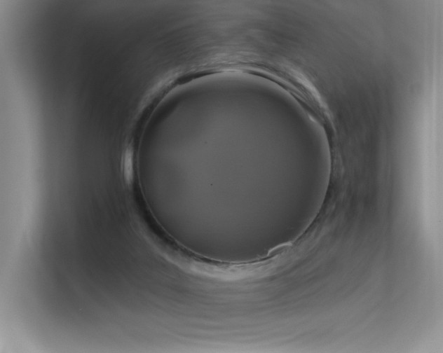 X0000112390019200908131558