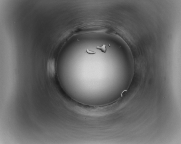 X0000112390028200908131558