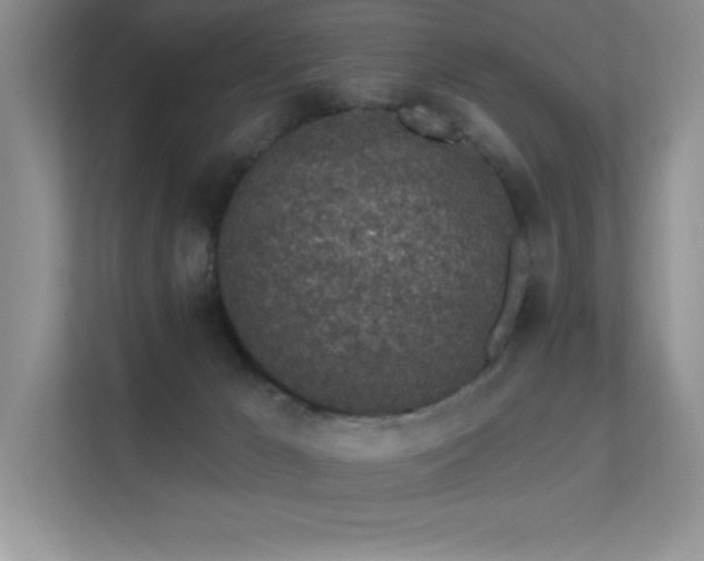 X0000112390029200908131558