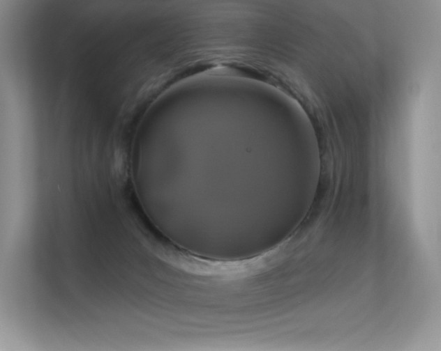 X0000112390031200908131558