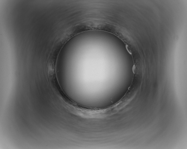 X0000112390040200908131558