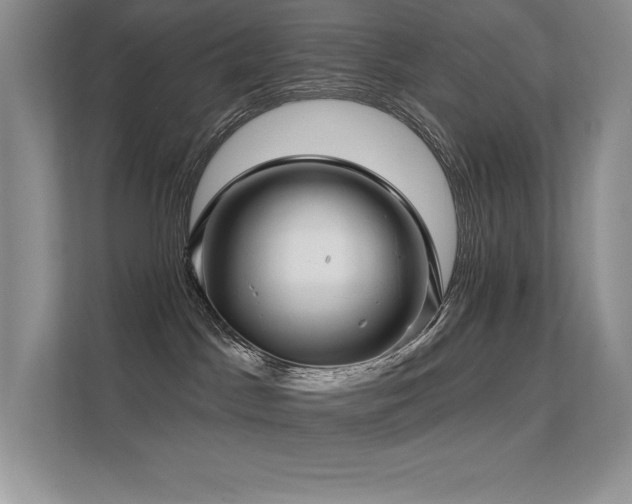 X0000112390045200908131558