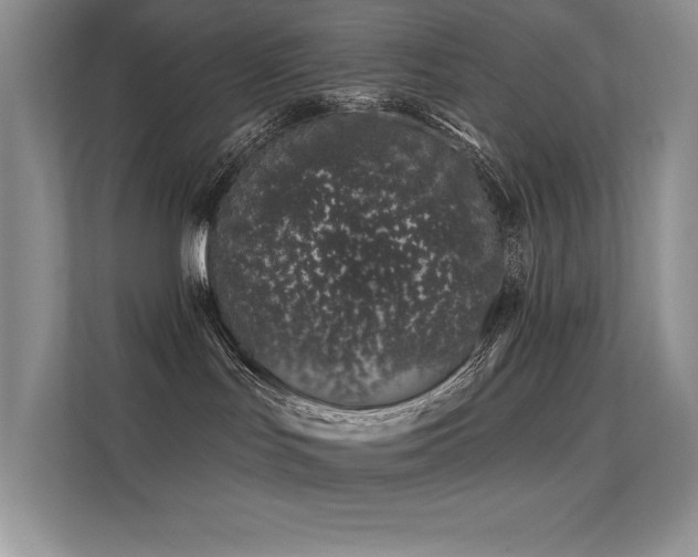 X0000112390047200908131558