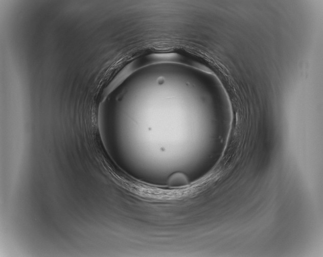 X0000112390048200908131558