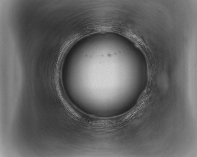 X0000112390049200908131557