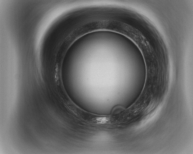 X0000112390050200908131557