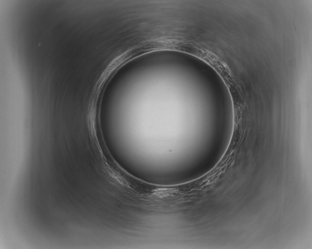 X0000112390051200908131557