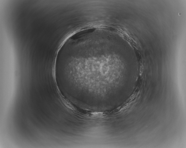 X0000112390052200908131557