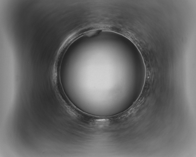 X0000112390053200908131557