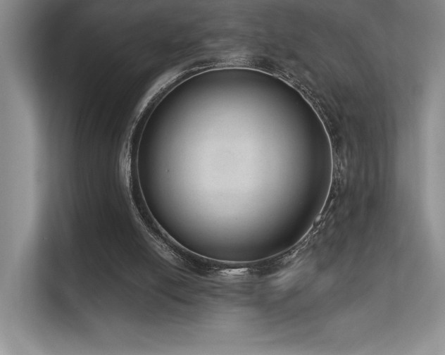 X0000112390054200908131557