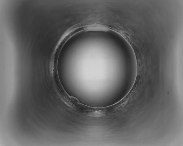 X0000112390056200908131557