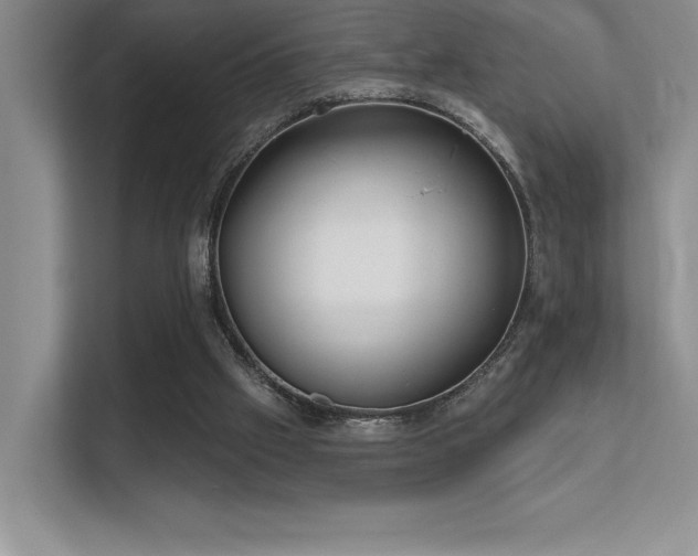 X0000112390057200908131557