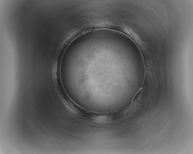 X0000112390058200908131557