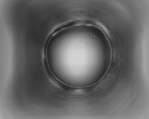 X0000112390059200908131557