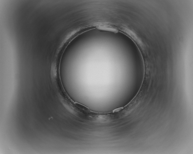 X0000112390060200908131557