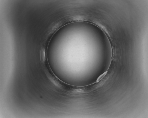 X0000112390061200908131557