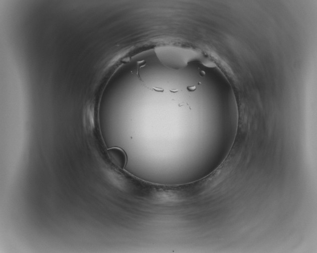 X0000112390062200908131557