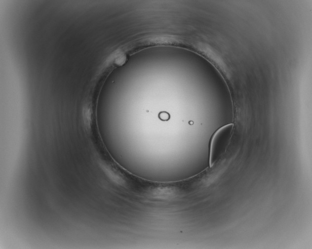 X0000112390063200908131557