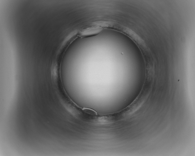 X0000112390064200908131557