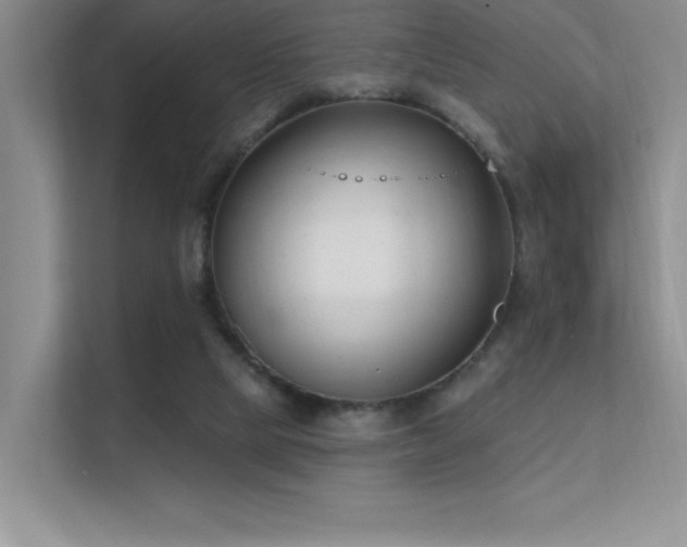 X0000112390065200908131557