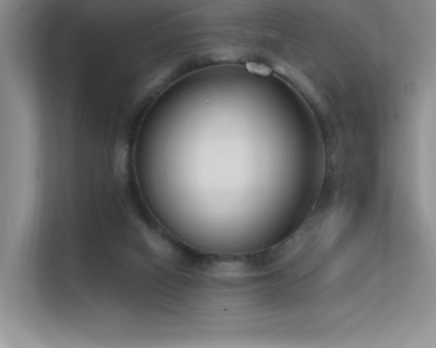 X0000112390066200908131557