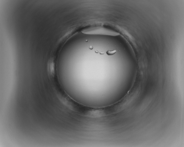 X0000112390067200908131557