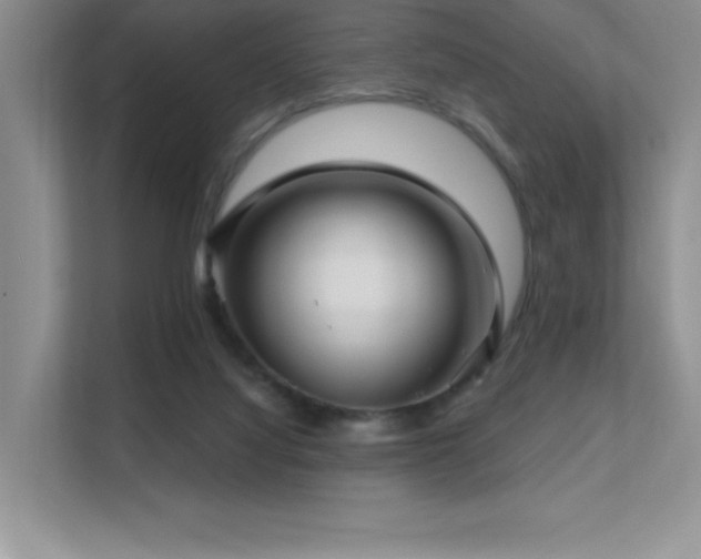 X0000112390068200908131557