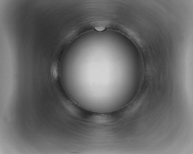 X0000112390069200908131557