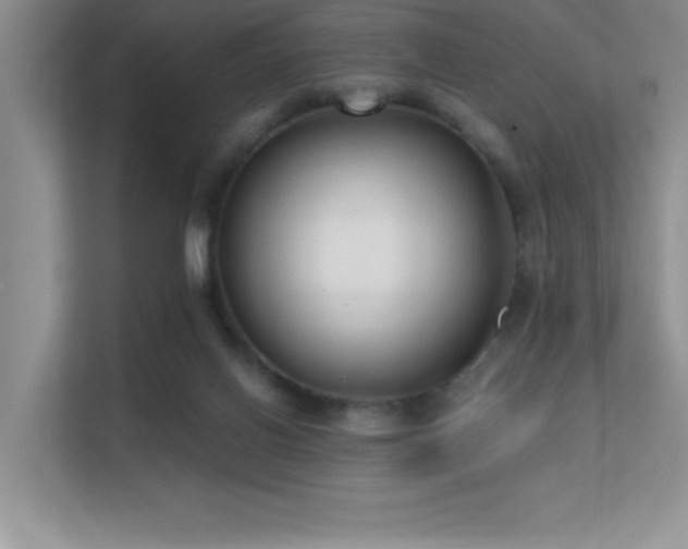 X0000112390070200908131557